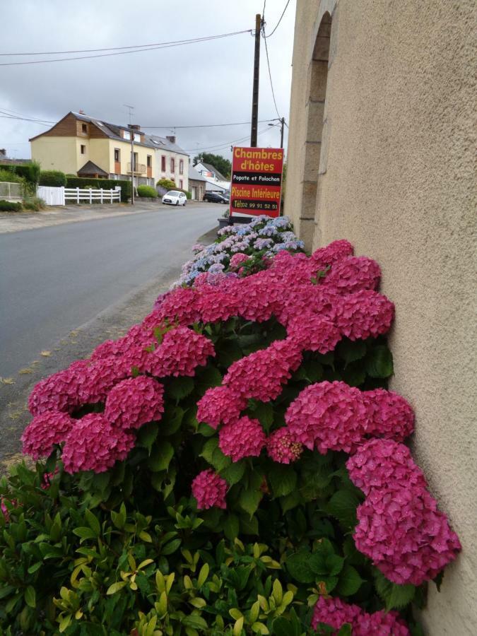 Popote Et Polochon Bed & Breakfast Saint-Martin-sur-Oust Bagian luar foto