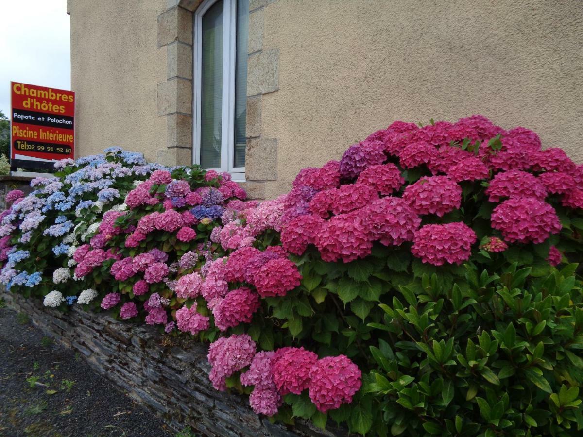 Popote Et Polochon Bed & Breakfast Saint-Martin-sur-Oust Bagian luar foto